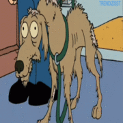 cachorrovelho