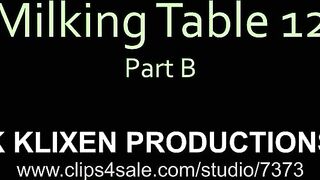 klixen Milking table K milking 12 (PART B)
