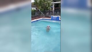 Alysha Newman - Skinny dipping