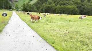 Clemence Audiard - Hiking Fuck With A Perfect View