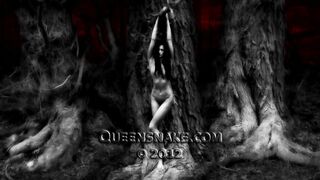 BB Babe Diamond Queensnake Studio