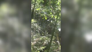 A.W OF - Jungle Hike