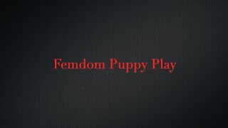 Stella Elle s Freeloading Step-Brother Becomes Her Puppy Part 2