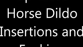 Jeri Lynn Horse Dildo Fuck